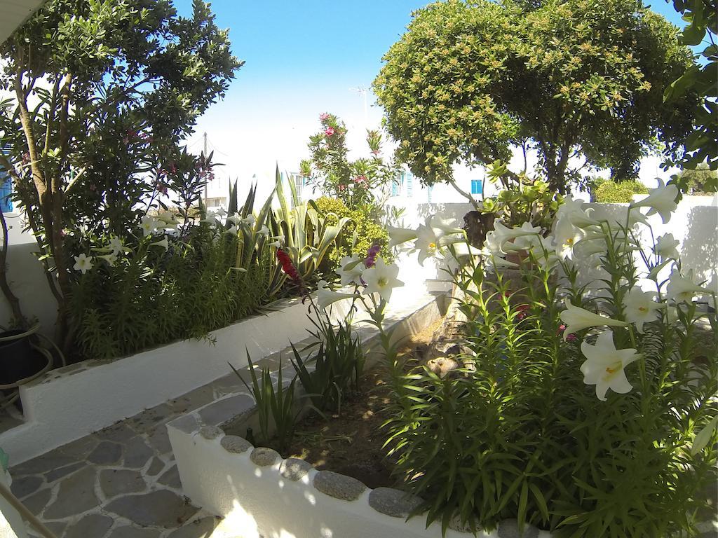 Kavaki Studios Mykonos Town ห้อง รูปภาพ